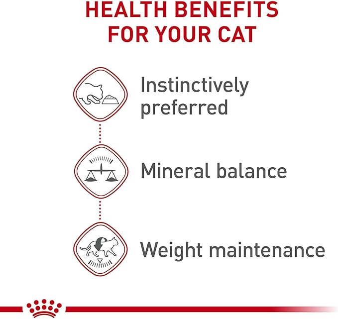 Royal Canin Feline Health Nutrition Adult Instinctive Adult Loaf in Sauce Cat Food, 5.1 oz (Pack of 24)