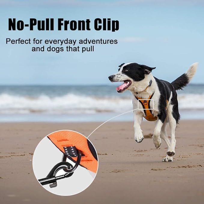 PoyPet No Pull Dog Harness, Reflective Comfortable Vest Harness with Front & Back 2 Leash Attachments and Easy Control Handle Adjustable Soft Padded Pet Vest for Small to Large Dogs (Orange,L)