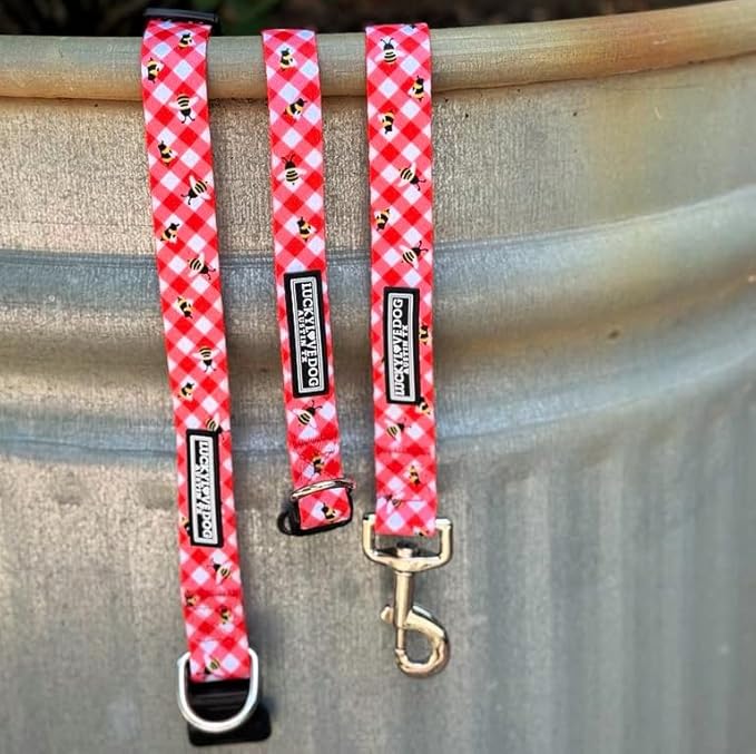 Lucky Love Dog - Easy Click Buckle Dog Collar with Leash Set Combo, Durable & Comfortable for Male & Female Dogs, Pet Collar for Small to Large Dogs, Secure Fit - Bailey Combo, XS
