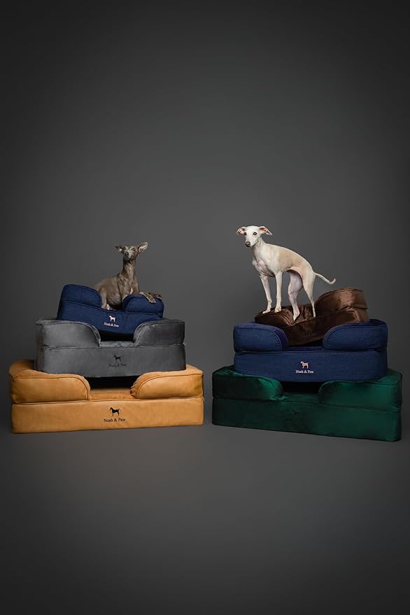 NOAH & PAW Small Dog Bed, 20x15x8 Inch, Cat Bed for Indoor Cats, Orthopedic Eggshell Memory Foam Infused with Cooling Gel, Waterproof Inner Cover Machine Washable (Denim Collection)