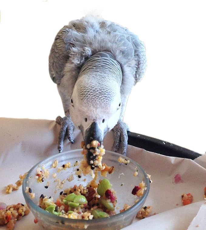 Parrot Food - Parakeet & Cockatiel Food - Cooks in 3-15 min with Natural & Organic Grains, Legumes, Non-GMO Fruits, Vegetables & Health-Oriented Spices