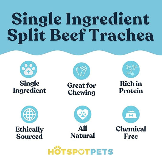 hotspot pets Premium Beef Trachea for Dogs 6" Strips Split (10 Pack) All Natural Grass-Fed Beef Dog Chews, Rich in Glucosamine Chondroitin for Joint Health, Single Ingredient No Rawhide Dog Treats
