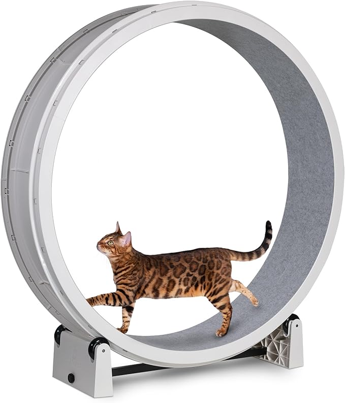 One Fast Cat - Cat Exercise Wheel - Gen. 7 - Safe 48" Diameter - Made in The USA - White Wheel with Gray Felt Traction Pads and Solid Black Inline Wheels