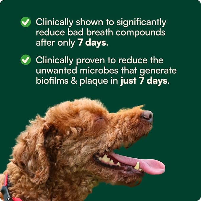 Reggie Dental Powder for Dogs | Reduce Bad Breath in 7 Days, Plaque & Tartar Control | Natural Dog Dental Supplement | Postbiotic Formula with Organic Kelp | Vet-Approved & Made in USA | 60 Servings