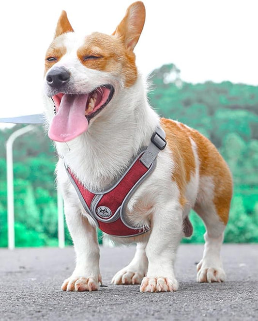 Small Dog Harness and Leash Set,No Pull Adjustable Step in Soft Mesh Vest Harness,Easy Walk Reflective Pet Harness with Padded Handle for Walking Training Small Medium Large Dogs and Cats (Red, S)