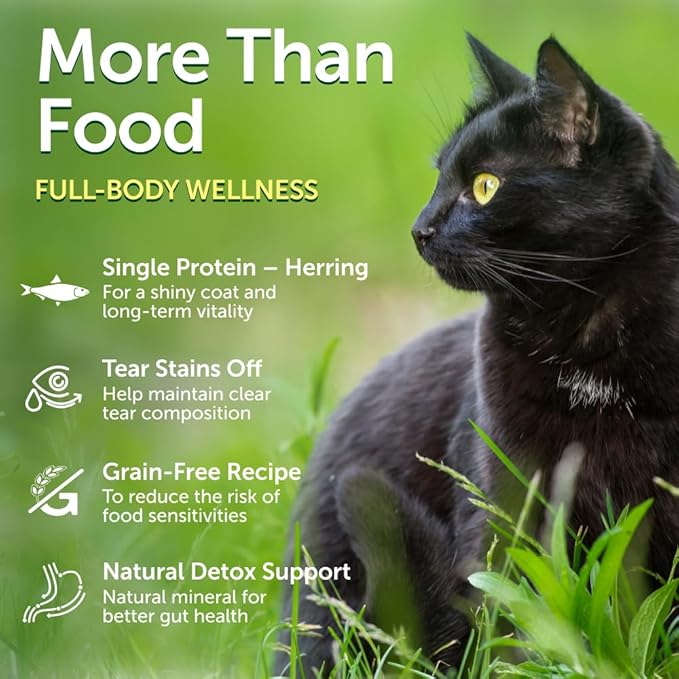 Nature's Protection Dry Cat Food - Grain Free, High Protein Cat Food Dry Kibble for Indoor Adult Cats with Dark Fur - Sensitive Stomach, No Tear Stains & Hairball (Superior Care - Herring, 14.11 lb)