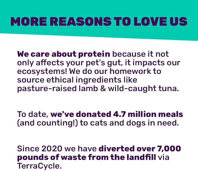 I and love and you Wet Cat Food - Savory Salmon Pâté - Salmon Recipe, Grain Free, Filler Free, 3oz Pack of 24 Cans