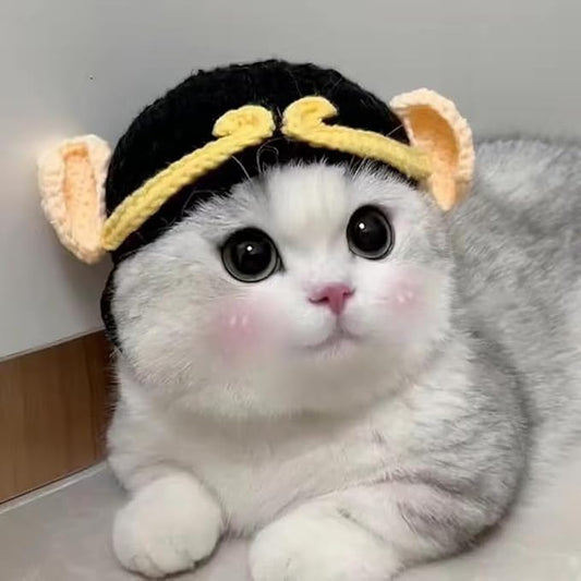 Pet Head Adorable Cat & Dog Headwear - Knit Beanie, Soft & Adjustable, Halloween Accessory (Small, Under 6 lbs)