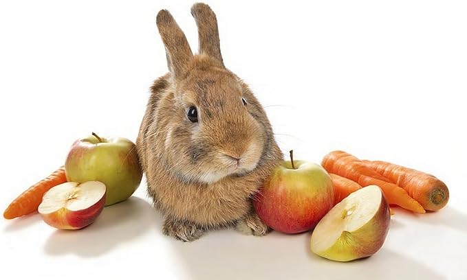 Dehydrated Apple & Carrot Mix for Chinchillas, Guinea Pigs, Rabbits, Hamsters, Small Pets - Herbivore Treat Snacks (10 Ounce, Pack of 1)