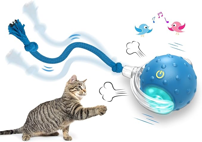 Interactive Cat Toys Ball for Indoor Cats Fast Rolling on Carpet, Chirping & Motion Activate Cat Toys (Blue)