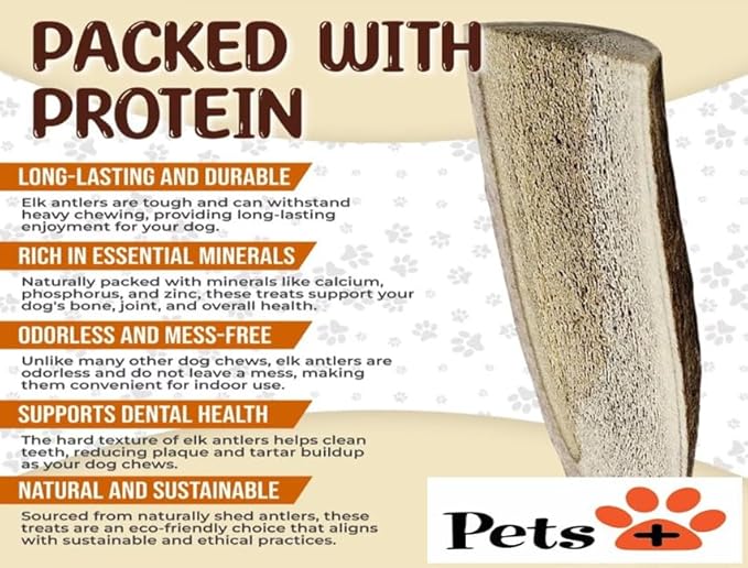 Pets Plus Split Antler Chews for Dogs – 6 Inch, Medium, 2-Pack – Natural Deer Antlers, Long-Lasting Dog Chew Bones, Odor-Free, for Aggressive Chewers & Dental Health