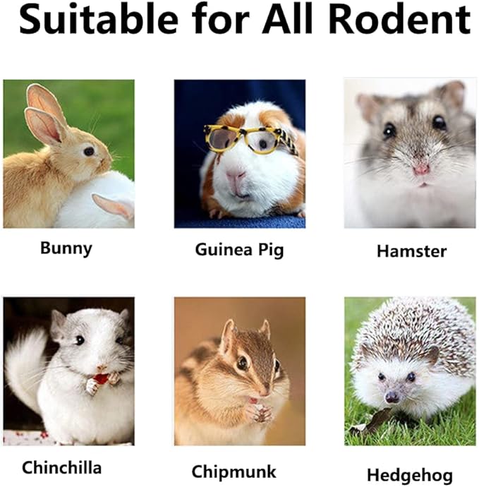 Chew Treats Toys for Guinea Pig, Hamster, Rabbits, Chinchilla, Bunny, Small Animal Teeth Care