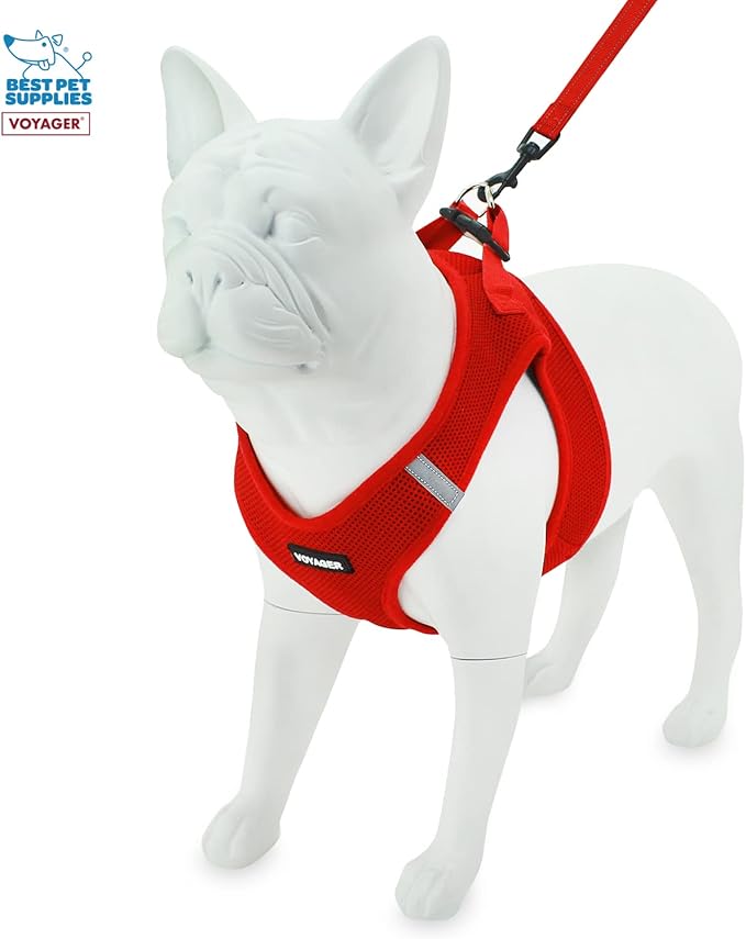Voyager Step-in Air All Weather Mesh Harness and Reflective Dog 5 ft Leash Combo with Neoprene Handle, for Small, Medium and Large Breed Puppies by Best Pet Supplies - Leash Harness (Red), S