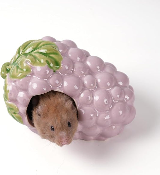 Ceramic Hamster Hideout,Grape Dwarf Hamster House,Guinea Pig Habitat Decor, Hideaway House for Gerbil, Cool Bed for All Season