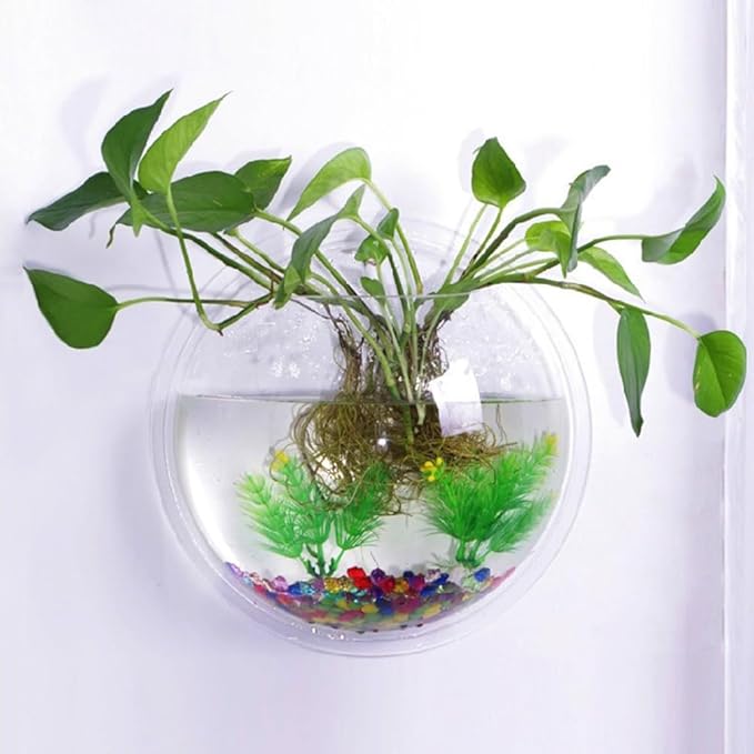 Mipcase Transparent Creative Wall Mounted Acrylic Fish Bowl Hanging Aquarium for Home Decor Ideal for Fish Aquatic Plants Stylish Wall Tank Decoration
