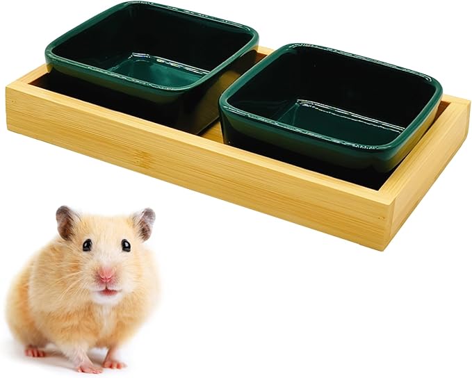 Hamster Food Bowl, Hamster Feeding & Water Bowls, Small Animals Ceramic Food Water Bowl Prevent Tipping for Dwarf Syrian Hamsters Bunny Gerbils Rats or Other Similar-Sized Small Pets (Green)
