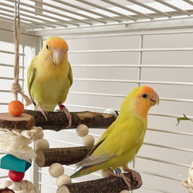 3pcs Bird Climbing Ladder Bridge Chewng Toy Set Bird Cage Toy Funny Parrot Cage Hanging Parrot Cage Bite Toys Parakeet Cage Wooden Parrot Toys Random Color