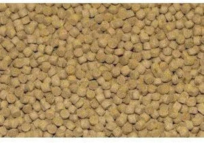 NorthFin Cichlid Formula Fish Food – Slow Sinking Pellets for Cichlids (1mm, 2.5kg) | Premium High-Protein, All-Natural Cichlid Diet to Enhance Color & Growth – No Fillers, No Hormones, Made in Canada