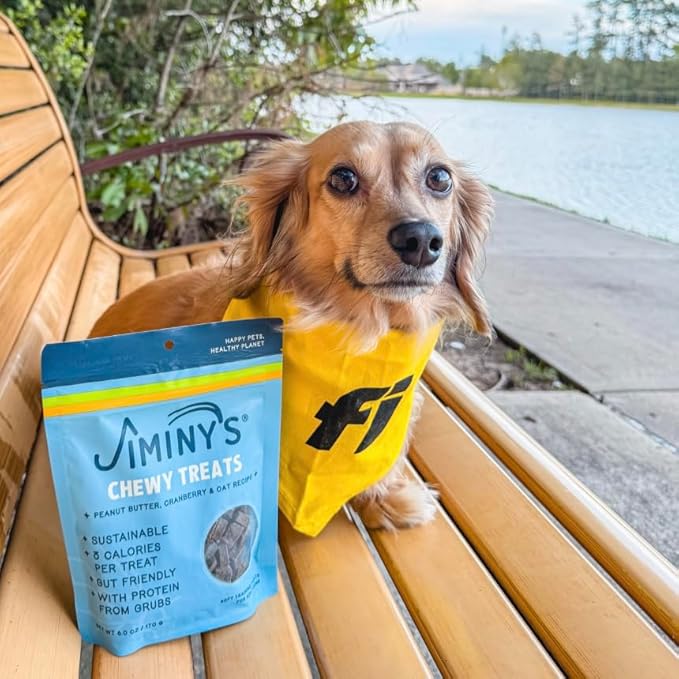 Jiminy's Chewy Training Treats for Dogs, Low Calorie, Hypoallergenic Insect Protein, Made in USA, 6oz, Peanut Butter & Cranberry (Pack of 3)