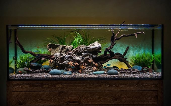 CURRENT USA 72" Satellite Color RGBW Full-Spectrum LED Aquarium Light - Freshwater, Wireless 24-Hour Timer, Adjustable Tank Mounts (4514)