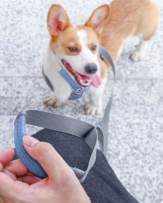 Puppy Harness and Leash Set,No Pull Adjustable Step in Soft Mesh Vest Harness,Easy Walk Reflective Pet Harness with Padded Handle for Walking Training Small Medium Large Dogs and Cats (Blue, XS)