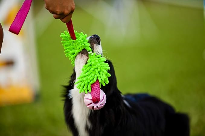 Dingo Dog tug of war Toy for Outdoor Play Traning Agility,Cuddly and Shaggy Plush tug Toy for Motivation and Fun,Soft Nubby-Textured Noodle Plush with Bungee Shock Absorber and Rubber Ball Blue 15587