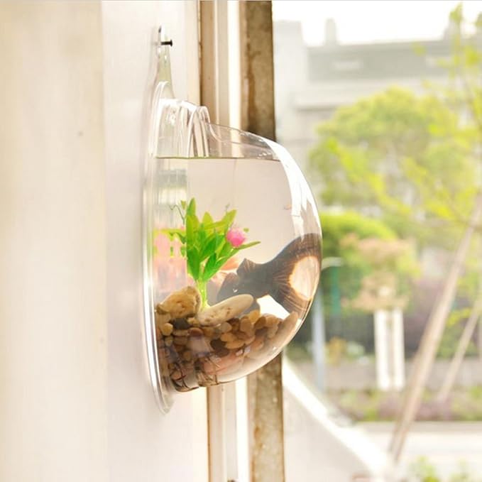 Fish Bubbles - Wall Mounted Acrylic Fish Bowl