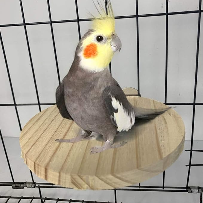 Hamiledyi Wooden Hamster Cage Platform Set 4Pcs Bird Wood Platform Hamster Rat Gerbil Mice Cage Accessories Platform Wood Perch Stand Board Habitat for Syrian Dwarf Hamsters Small Animals