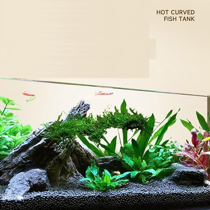 3 Gallon Aquarium Fish Tank, Rimless Aquarium Tank, 11.8" L × 7.9" H × 7.1" W