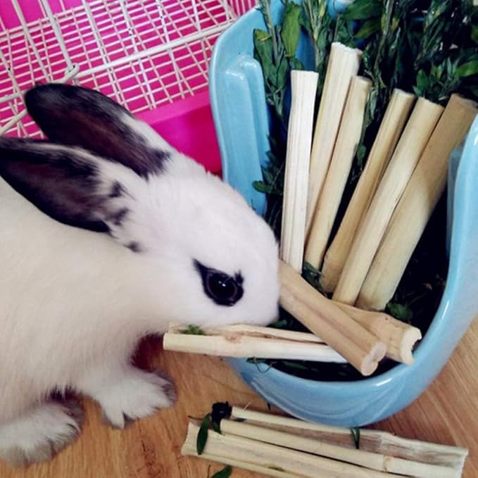 Tfwadmx Small Animal Snacks Sweet Bamboo Molar Treats 200 g Bunny Chew Toys for Chinchilla Rabbit Guinea Pig Hamster Squirrel (About 22-27 Sticks)