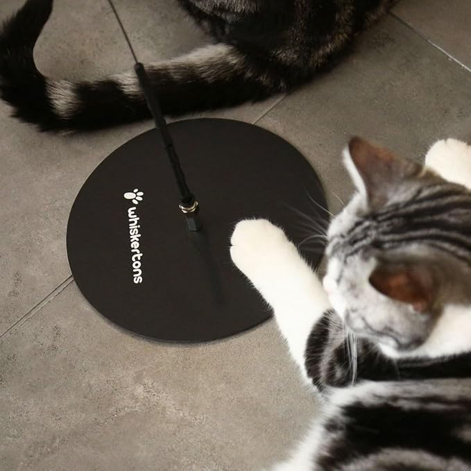 Interactive Bird Simulation Cat Toy Set, Interactive Cat Toys for Indoor Cats (Weighted Base + Wire)