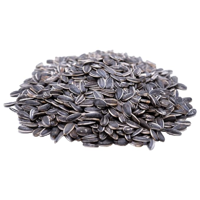 Gerbs Raw Whole Sunflower Seeds 2 lbs. | In-Shell, No Additives, Resealable Bag | Crack-and-Eat Crunchy Snack | Top 14 Allergen-Free