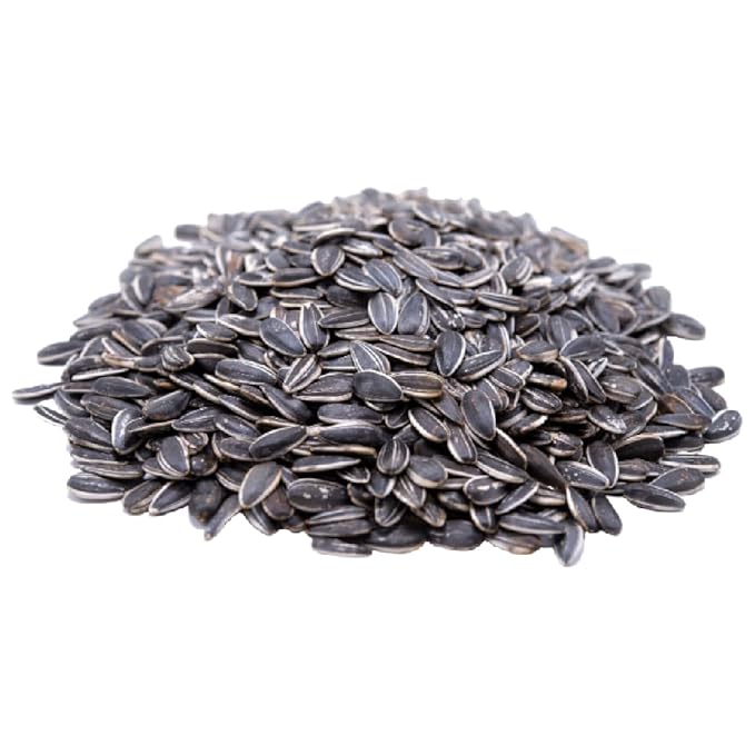 Gerbs Raw Whole Sunflower Seeds 4 lbs. | In-Shell, No Additives, Resealable Bag | Crack-and-Eat Crunchy Snack | Top 14 Allergen-Free