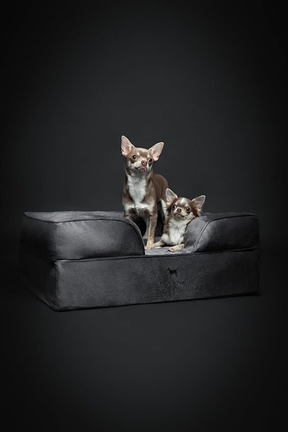 NOAH & PAW Dog Bed, 28x23x11 Inch, Orthopedic Dog Beds for Medium Size Pets, Eggshell Memory Foam Infused with Cooling Gel, Inner Cover, Waterproof, Machine Washable (Velvet Sofa Collection)