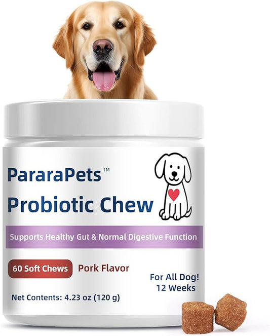 Probiotics for Dogs,Dog Gut Health Probiotics,Gastrointestinal Health Promotes Digestion and Nutrient Absorption, 60 Soft Chews
