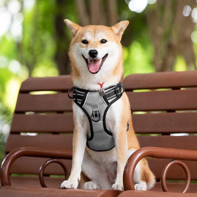 PoyPet No Pull Dog Harness, Reflective Comfortable Vest Harness with Front & Back 2 Leash Attachments and Easy Control Handle Adjustable Soft Padded Pet Vest for Small to Large Dogs (Gray,S)