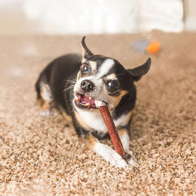 SUPERCAN 6" Bully Sticks for Dogs (10 Pack) – 100% Natural | Long-Lasting Dog Chews | Free-Range, Grass-Fed Beef | High-Protein | Odor-Free | Rawhide Alternative – Healthy Dog Treats
