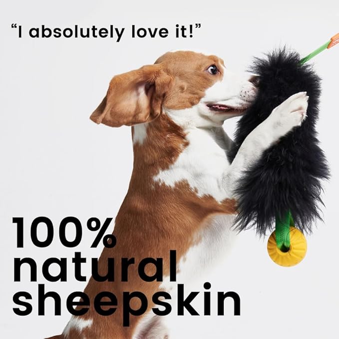 HOWGO Dog Rope Toy,Dog Bungee Chaser Toy 100% Sheepskin,Sheep Smell Tug Toy for All Breeds (Orange, Short Without Ball)