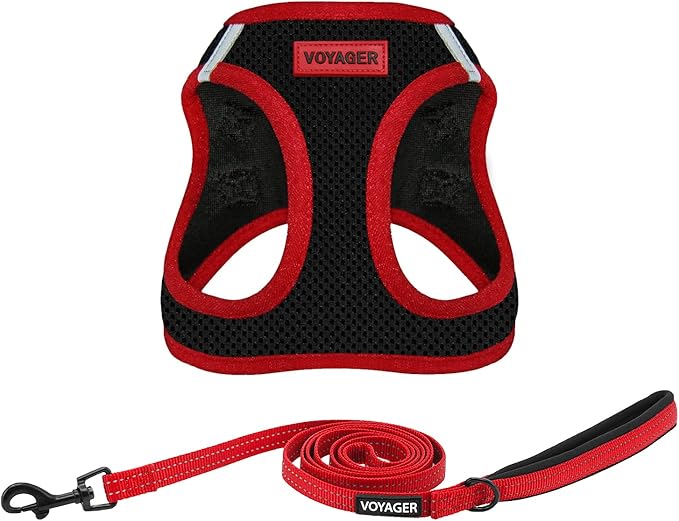 Voyager Step-in Air All Weather Mesh Harness and Reflective Dog 5 ft Leash Combo with Neoprene Handle, for Small, Medium and Large Breed Puppies by Best Pet Supplies - Red Trim, M