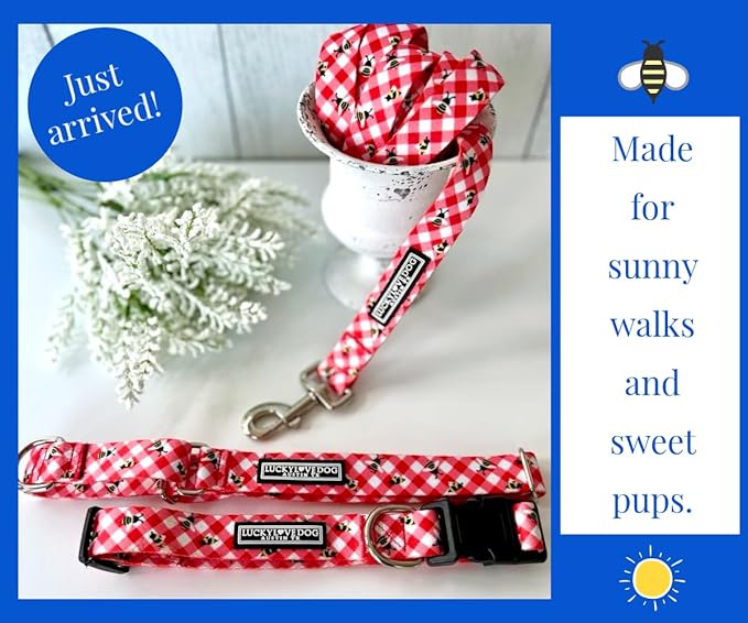 Lucky Love Dog - Easy Click Buckle Dog Collar with Leash Set Combo, Durable & Comfortable for Male & Female Dogs, Pet Collar for Small to Large Dogs, Secure Fit - Bailey Combo, XS