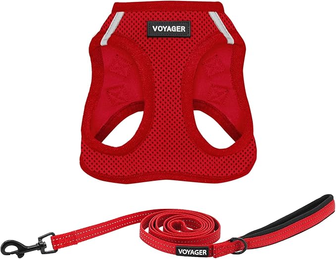 Voyager Step-in Air Cat Harness - All Weather Mesh Step in Vest Harness for Small and Medium Cats by Best Pet Supplies - Set (Red), XXXS