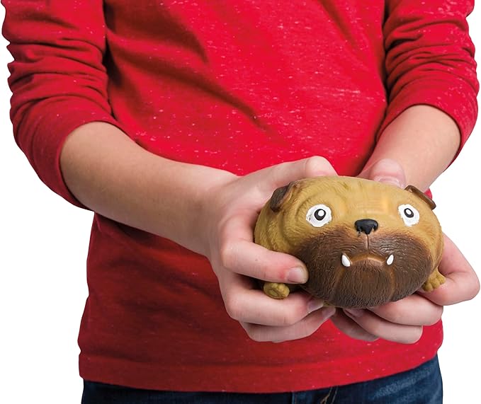 Farm Fresh Skwishy Pups – 4-Pack Dog-Themed Fidget Balls for Kids – Sensory Stress Relief Toy Set with Pug, French Bulldog, Corgi, and Labrador – Travel Squishy Toys, Party Favors Idea