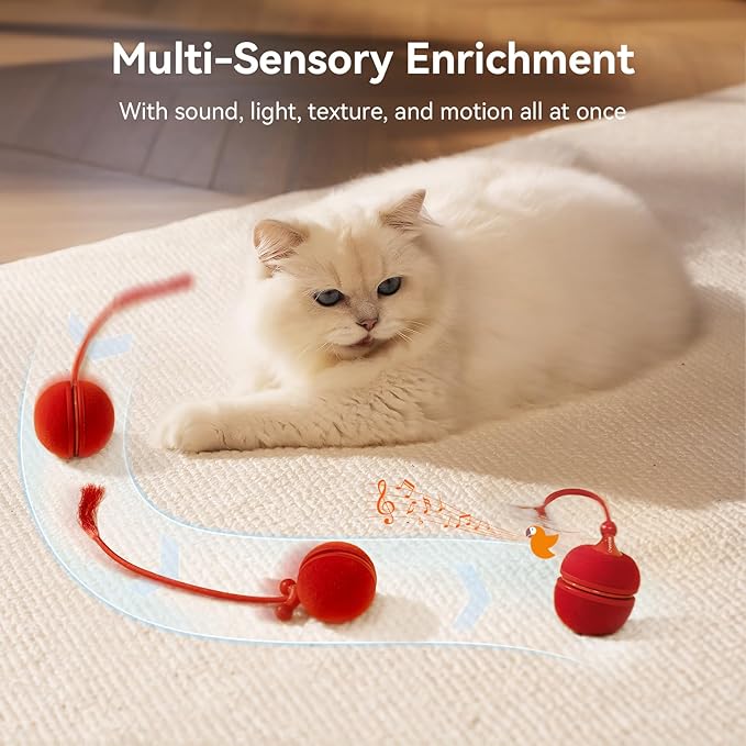 Cheerble Interactive Cat Toys for Indoor Cats - Wicked Ball Duo 2 Automatic Cat Toy with Dual Interchangeable Shells, Electronic Pet Toy with Bird Chirping Sounds, Rolling Cat Toy for Kittens, Red