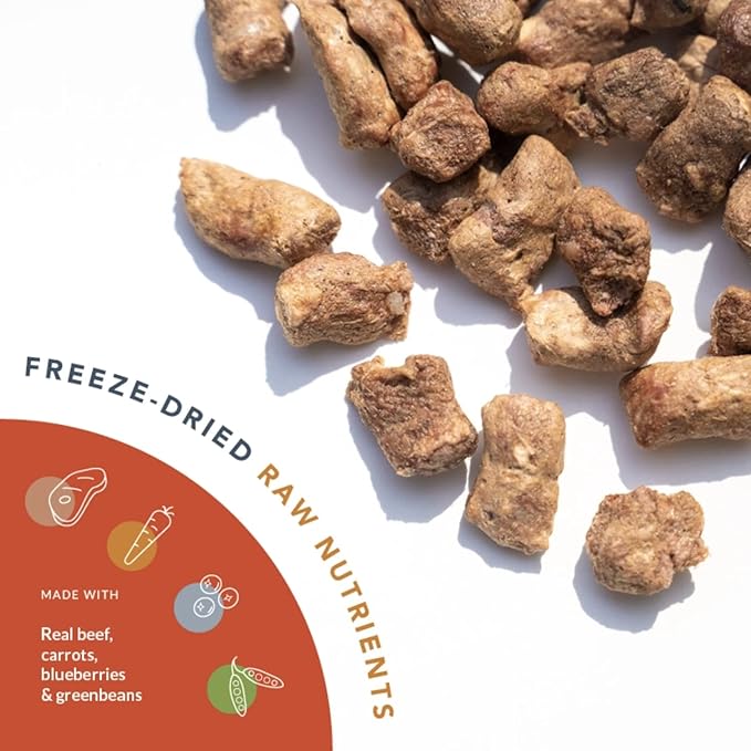 Flourish Pets Freeze Dried Raw Pet Treats for Dogs (Beef Training Treat, Regular)
