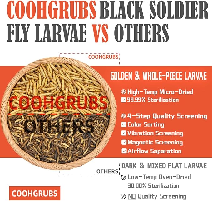 Dried Black Soldier Fly Larvae 2 lb – High Protein Chicken Feed with More Calcium Than Mealworms for Chickens, Birds, Reptiles & Small Pets