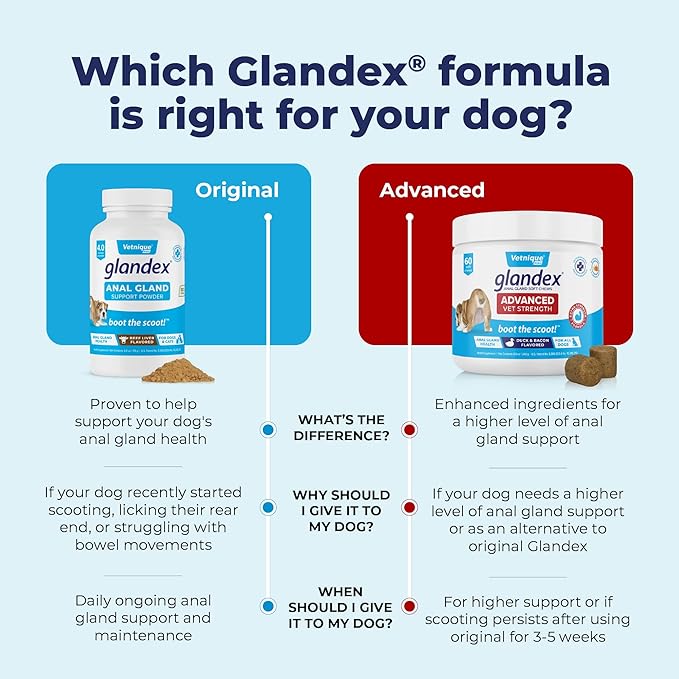 Vetnique Glandex Dog Fiber Supplement Powder for Anal Glands with Pumpkin, Digestive Enzymes & Probiotics - Vet Recommended (Regular or Advanced Strength) - Boot The Scoot (2.5oz Powder, Beef Liver)