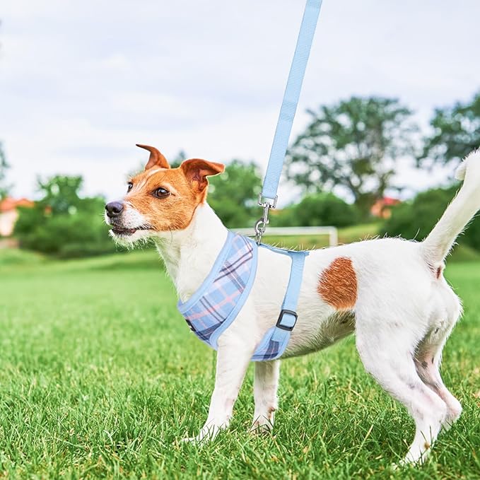 SCENEREAL Puppy Dog Harness with Leash Set for Small Medium Sized Dogs, Soft Mesh Step in Pet Harnesses and Leash, No Chock Plaid Adjustible No Pull Vest for Dogs Cats, Chihuahua,Bulldog (Blue M)