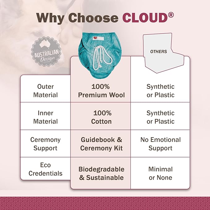 CLOUD® Eco-Friendly Pet Burial & Cremation Ceremony Kit -Casket for Smaller Pets: Rabbits Hamsters Birds Guinea Pigs, Fish, Reptiles, Small Cats (Choose Size & Color)(Medium, Teal Green)