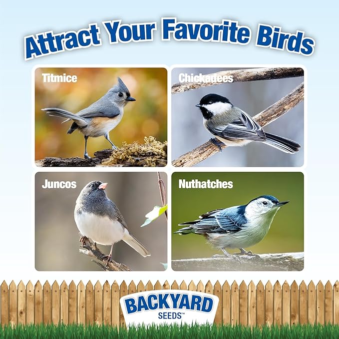 Backyard Seeds Value Blend Economy Mix Wild Bird Seed 20 Pounds