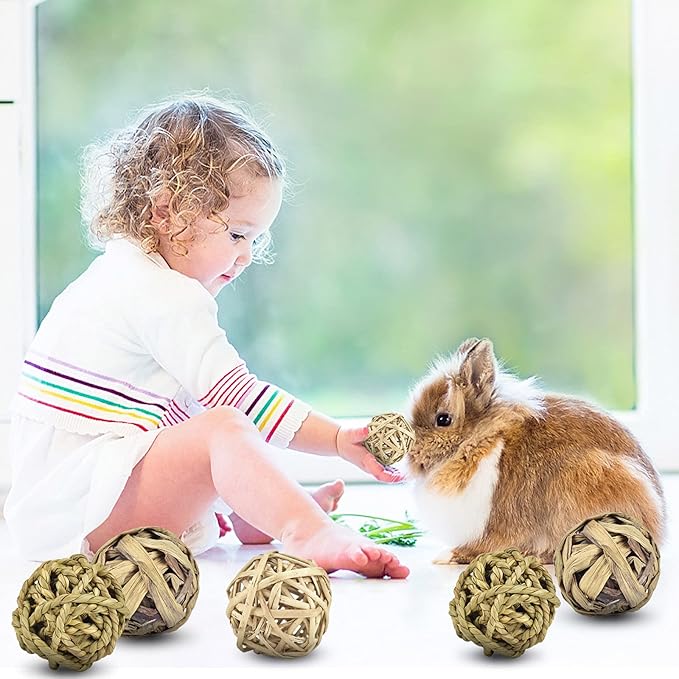 ERKOON Rabbit Toys Edible Woven Grass Ball Willow Ball, Made of Timothy Grass Hay and Willow of Treats and Chews Toy for Chinchilla Bunny Guinea Pig Gerbil